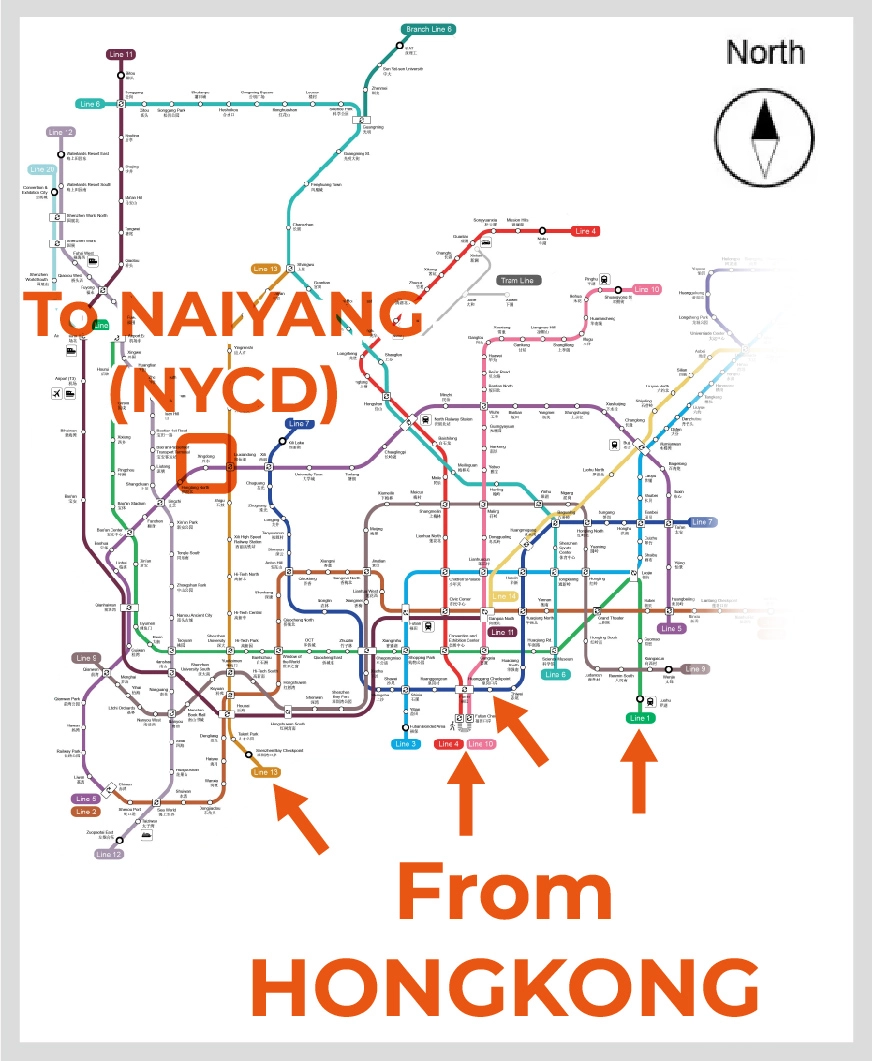 hongkong-to-nycd.webp